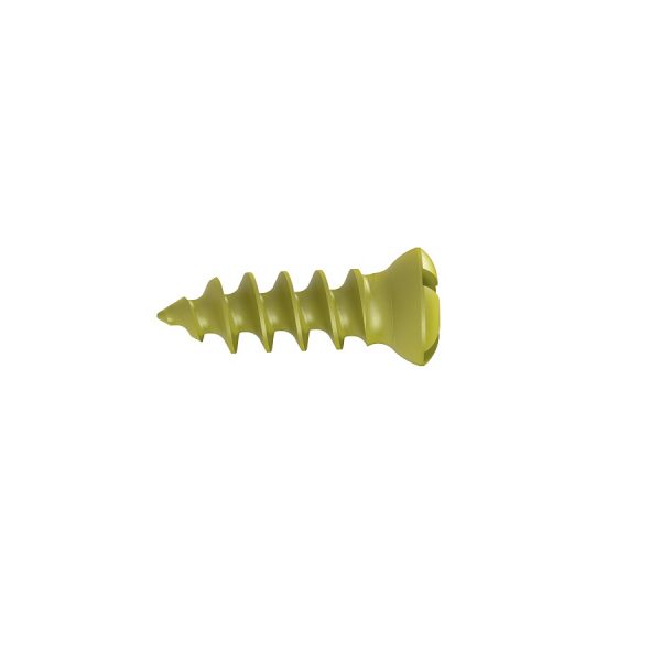 carviel screw1