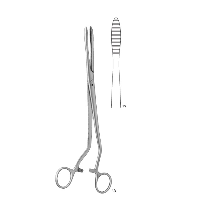 Cheron Sponge And Dressing Forceps 14-240 – Kapa Care